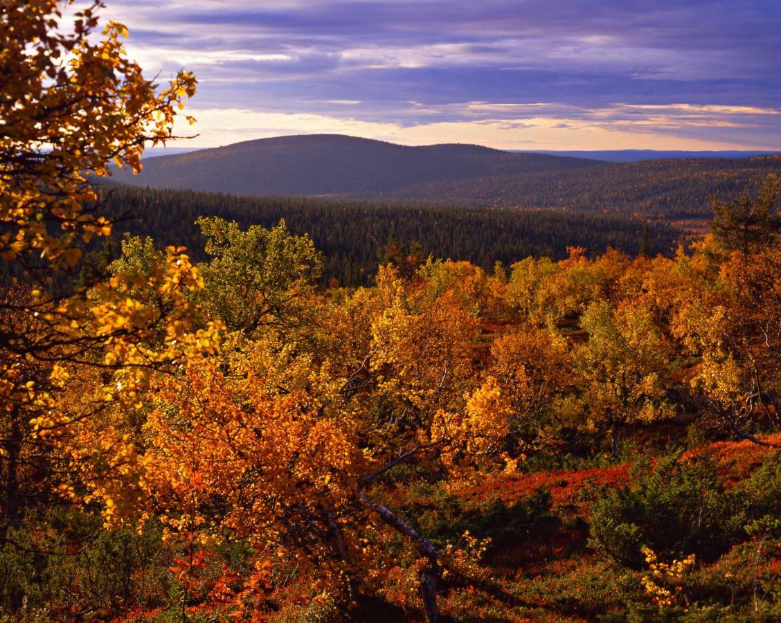 Lapland Hotels Yllaeskaltio Äkäslompolo Esterno foto